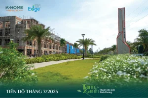 Nhà ở xã hội riêng lẻ (nhà phố) đang dần hoàn thành phần khung